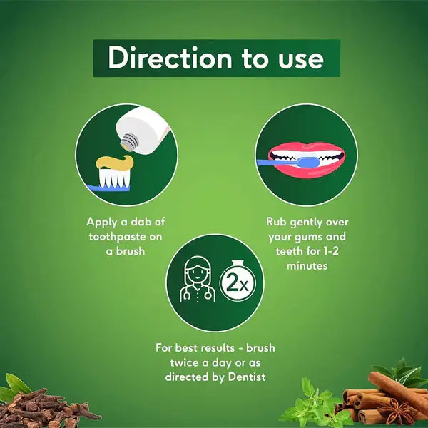 Sudanta Toothpaste 200g | Sri Sri Tattva - Personal Care