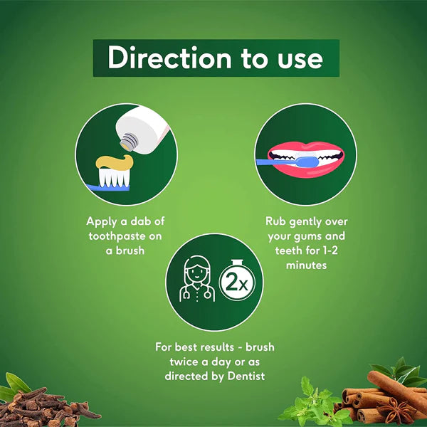 Sudanta Toothpaste 200g  | Sri Sri Tattva