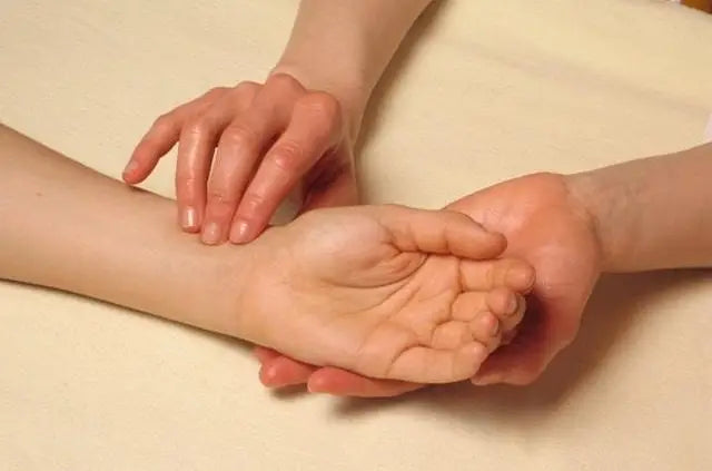 Everything about Nadi Pariskha