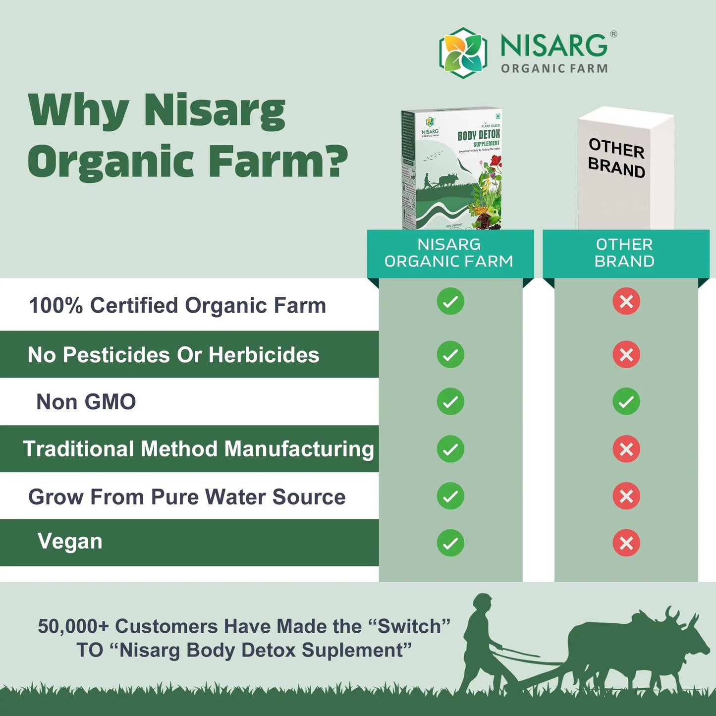 Body Detox Blood Purifier | Body Detox Supplement 100g | Nisarg Organic Farm