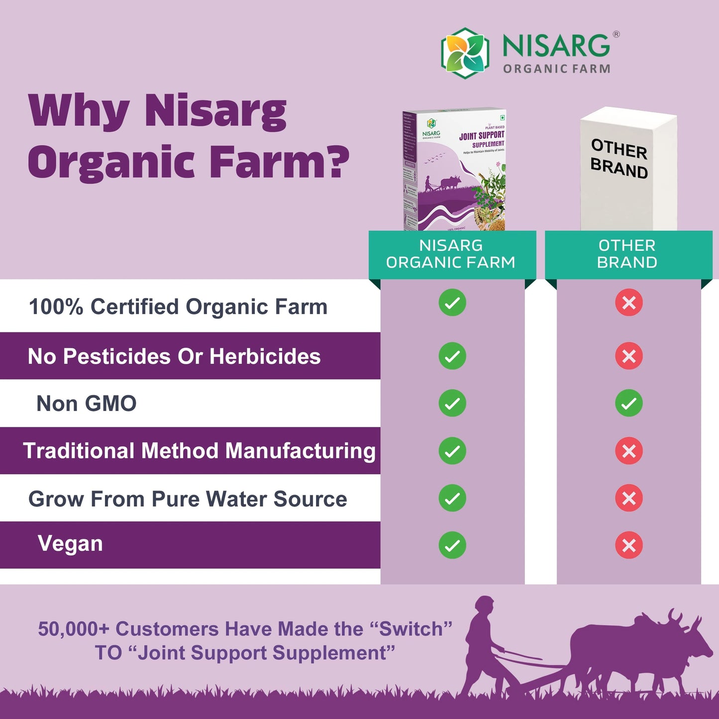 Organic Joint Support Supplements | Supplements for Arthritis 100g | Nisarg Organic Farm