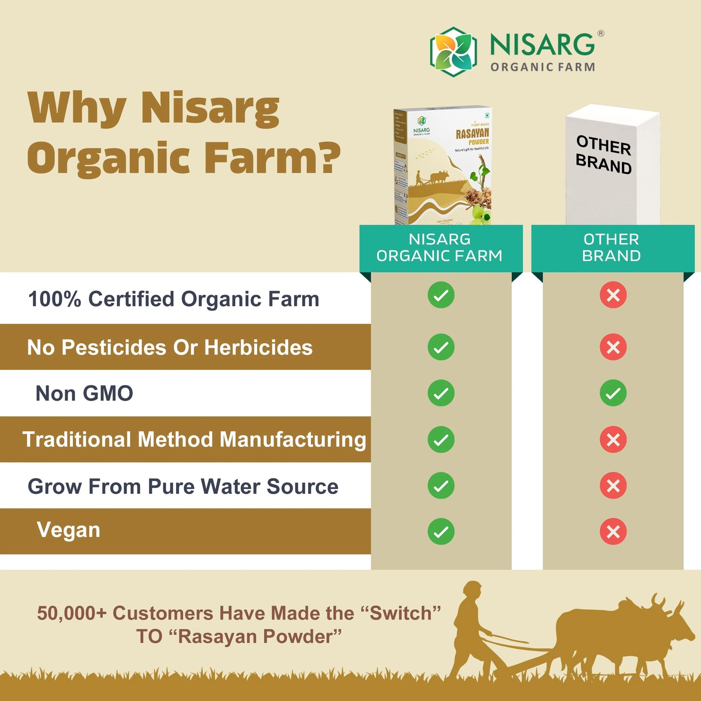 Rasayan Powder (Churna) | Imporve Immune | For Constipation 100g | Nisarg Organic Farm