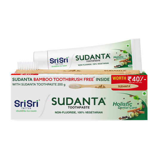 Sudanta Toothpaste 200g with Bamboo Toothbrush Free Inside | Sri Sri Tattva