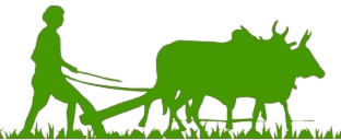 Organic Sugandhi Ubtan Powder (सुगंधी उटणे) 100g | Nisarg Organic Farm