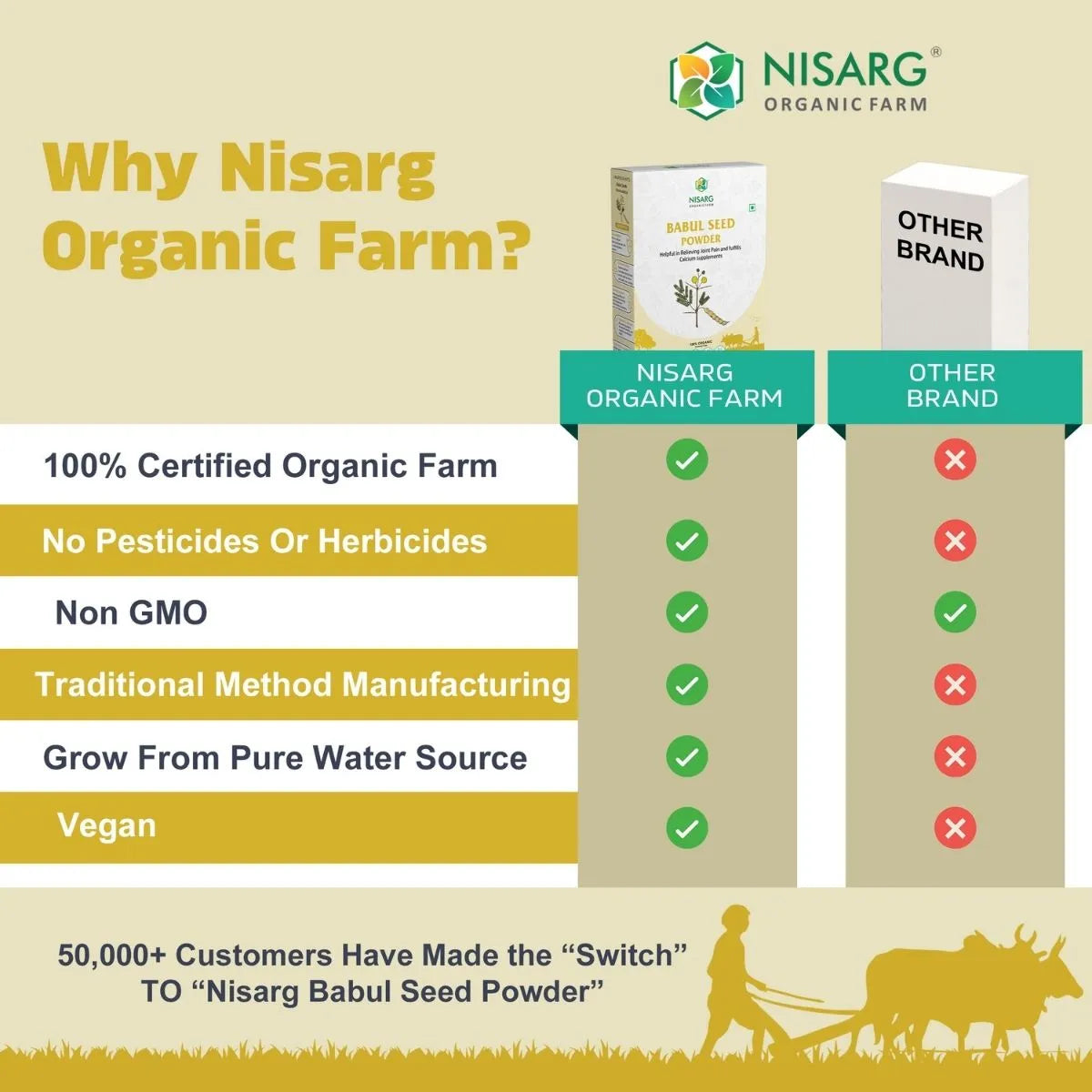 Babul Beej (Seeds) Powder | Phali Powder 100g | Nisarg Organic Farm