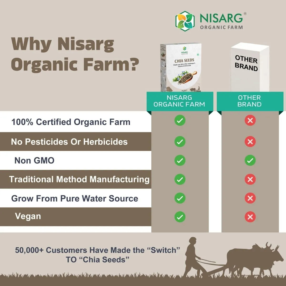 Organic Chia Seeds 100g | Nisarg Organic Farm