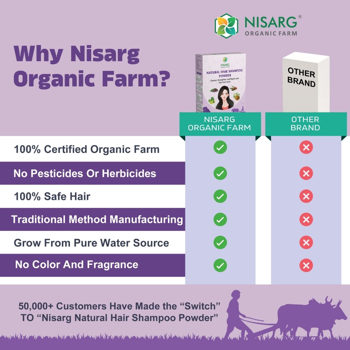 Natural Hair Shampoo Powder | Herbal Hair Wash Powder 100g | Nisarg Organic Farm