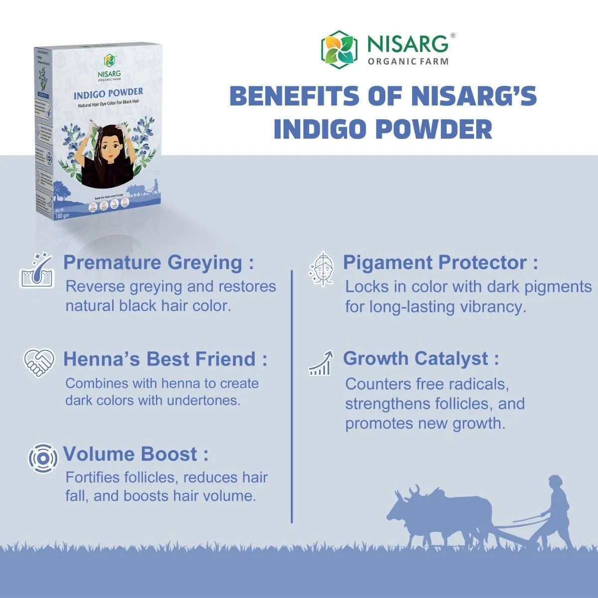 Natural Indigo Powder | Organic Indigo Leaf Powder 100g | Nisarg Organic Farm