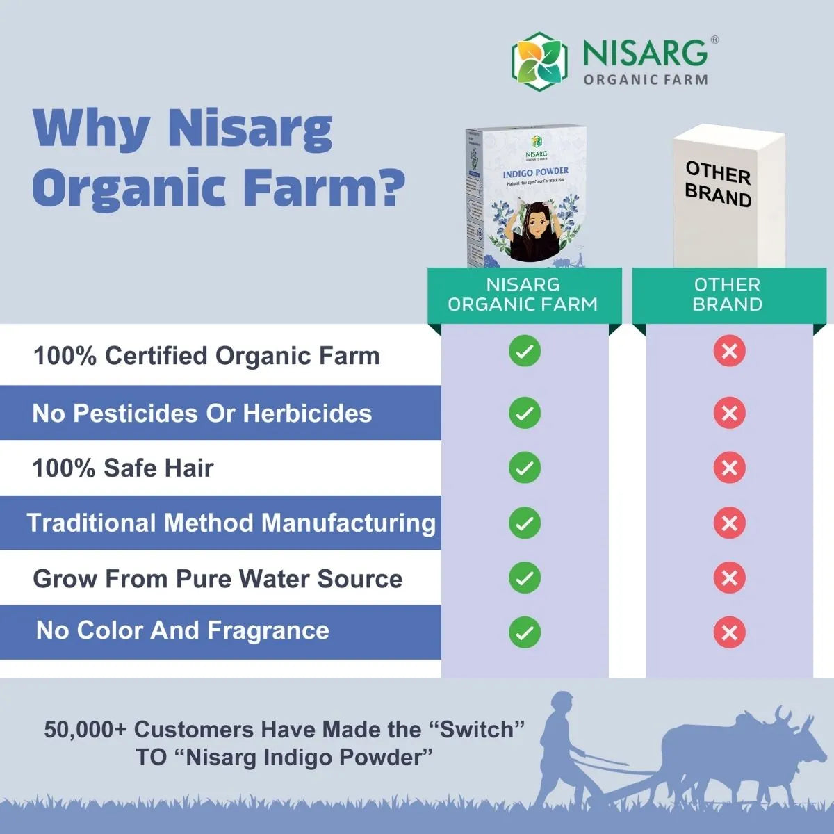 Natural Indigo Powder | Organic Indigo Leaf Powder 100g | Nisarg Organic Farm