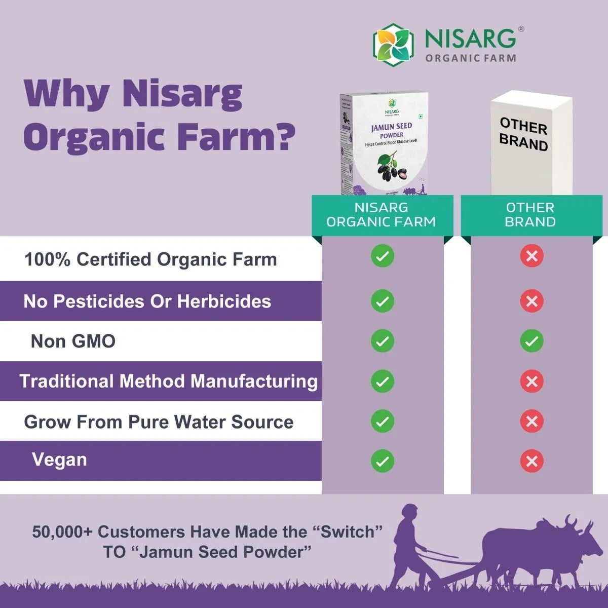 Jamun Seeds Powder | 100% Pure and Organic 100g | Nisarg Organic Farm