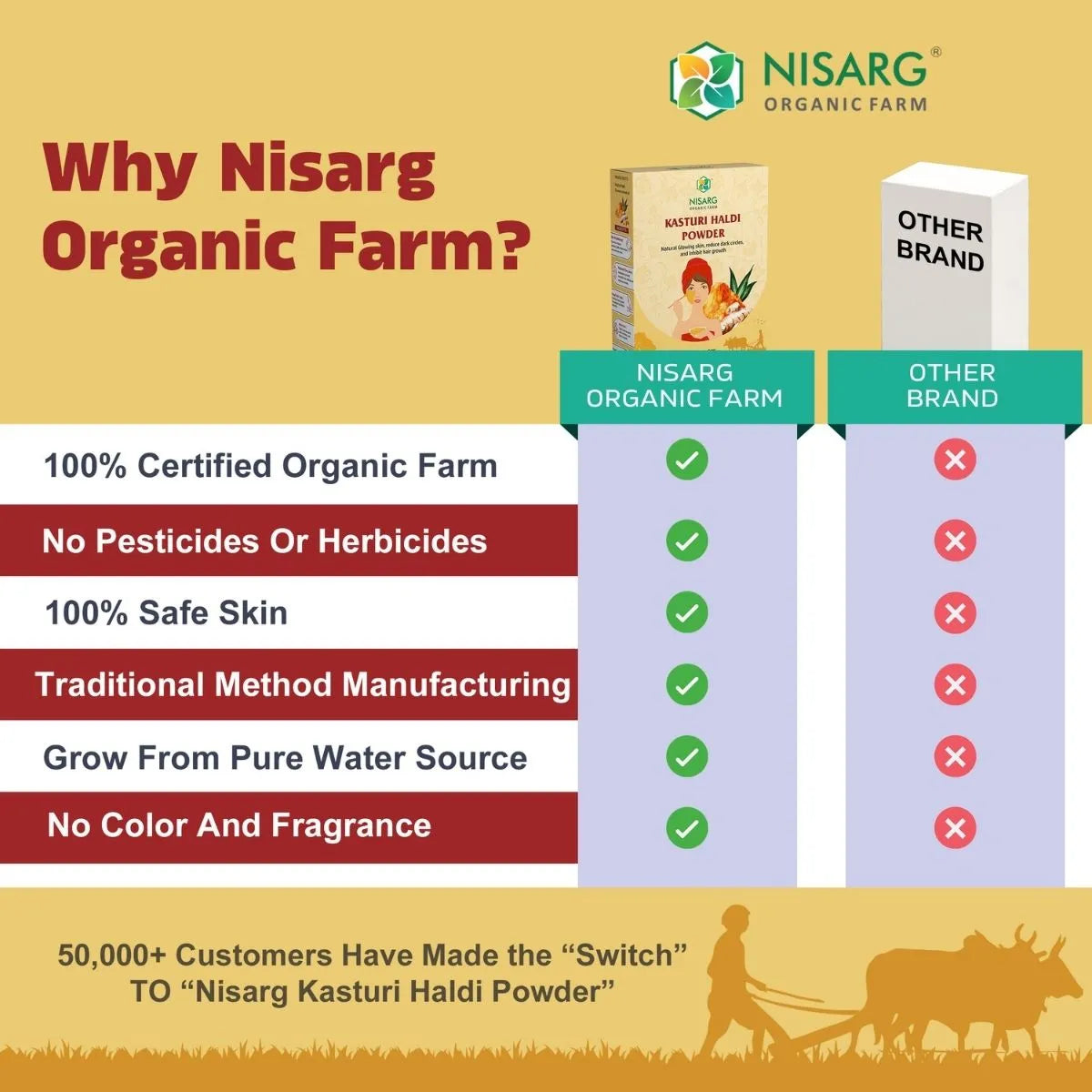 Kasturi Haldi Powder | Organic Turmeric Powder 100g | Nisarg Organic Farm