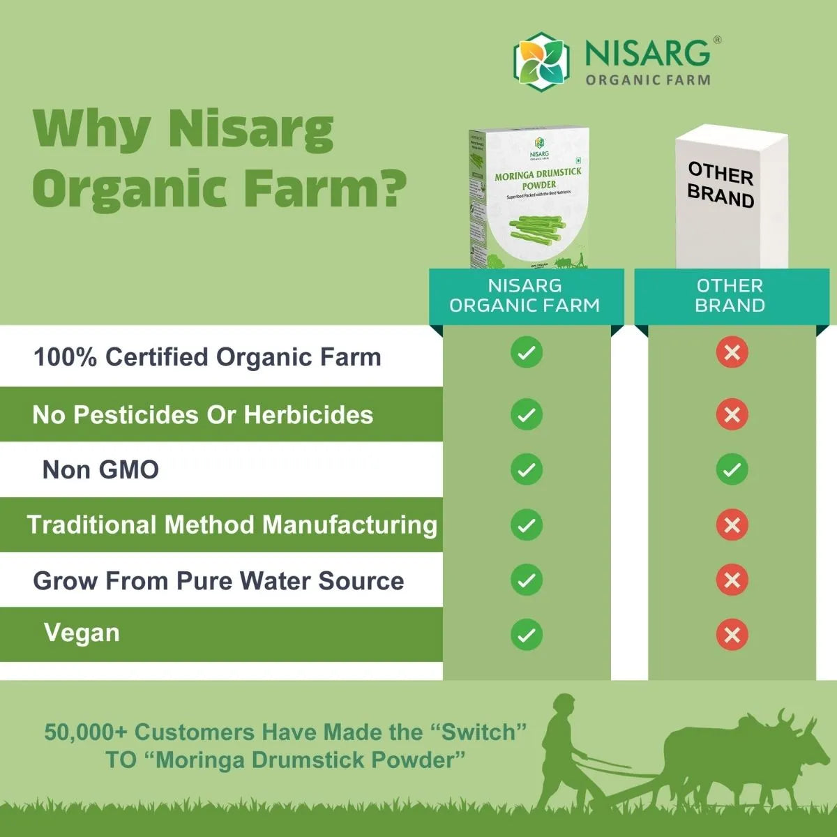 Organic Moringa Drumstick Powder | 100% Naturalc 100g | Nisarg Organic Farm