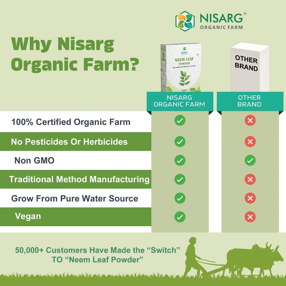 Organic Neem Leaf Powder | Neem Powder For Skin 100g | Nisarg Organic Farm