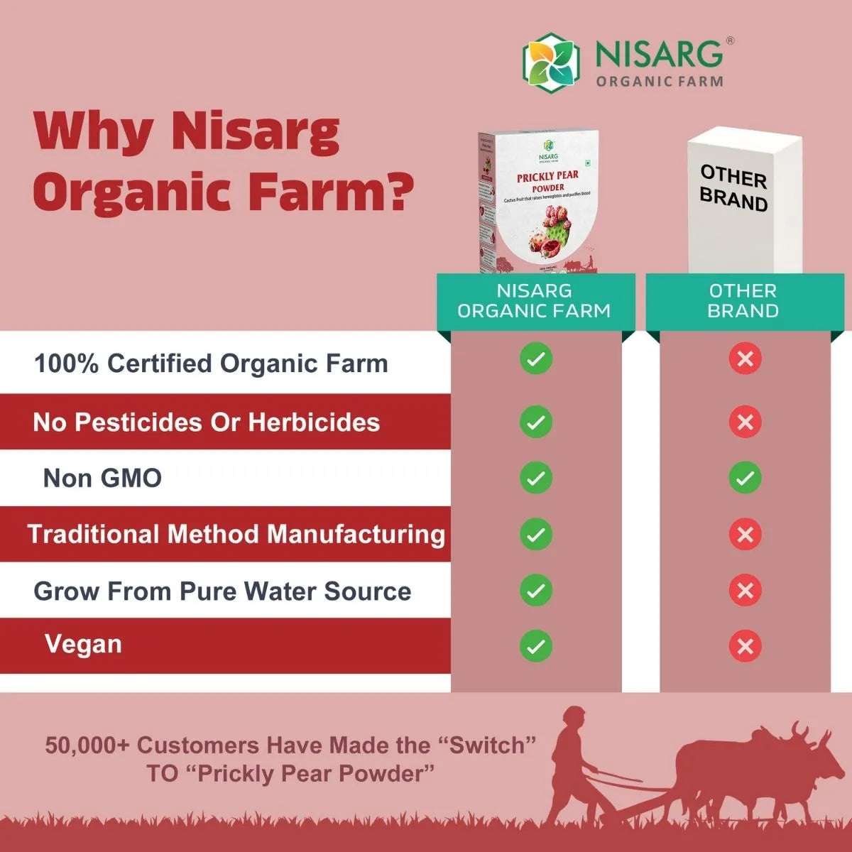 Organic Prickly Pear Powder | Findla Fruit Powder 100g | Nisarg Organic Farm