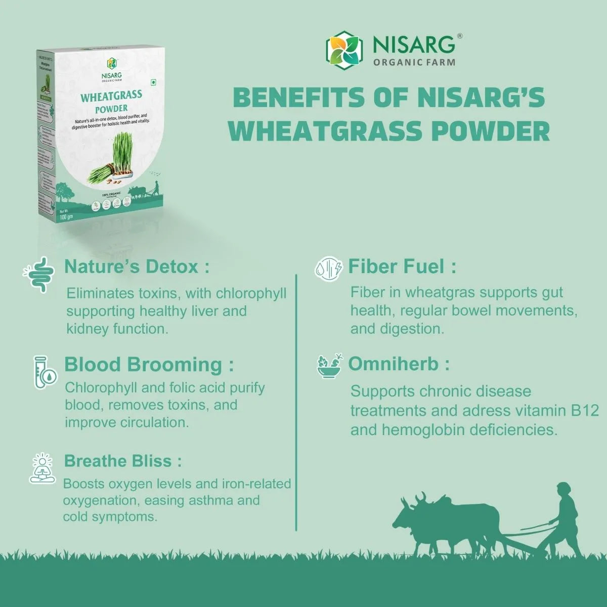 Organic Wheat Grass Powder 100g | Nisarg Organic Farm