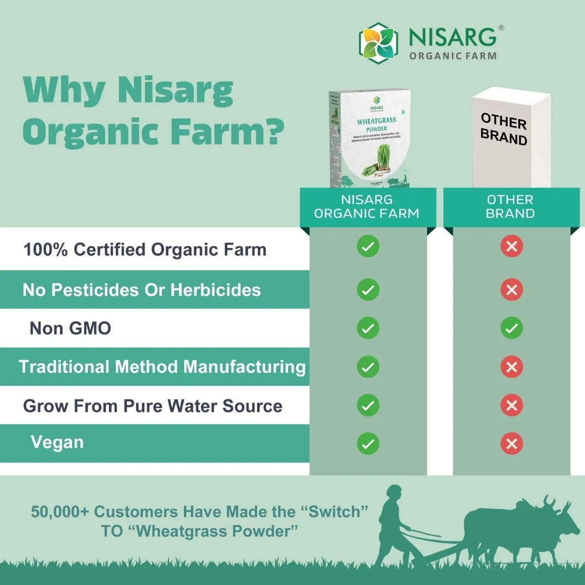 Organic Wheat Grass Powder 100g | Nisarg Organic Farm