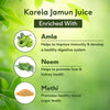 KARELA JAMUN JUICE 1L