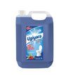 Ujjiyara Toilet Cleaner Winter Green - Removes Stains & Bad Odour, 5L