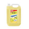 Ujjiyara Liquid Dishwash Lemon - Removes Odour, 5L